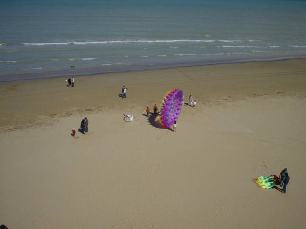 Dsc01590.jpg