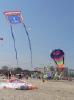 P1000710.jpg