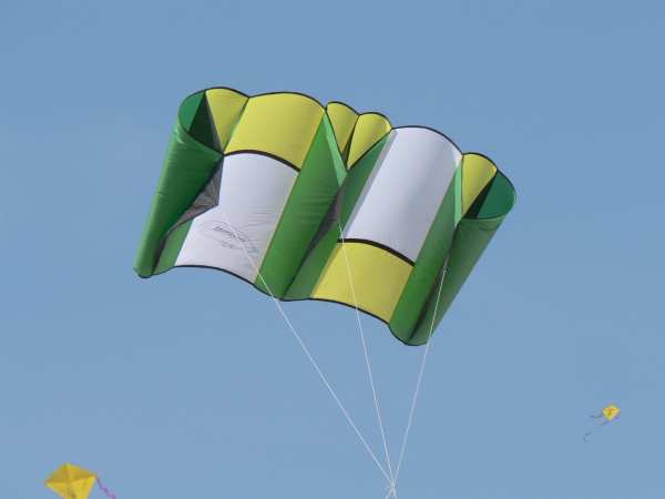 P1000686.jpg