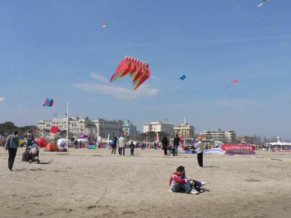 P1000695.jpg