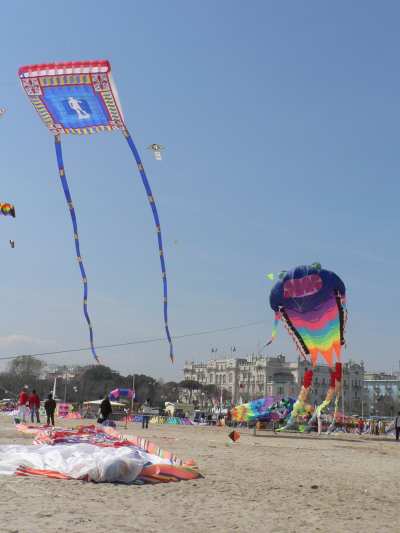 P1000710.jpg