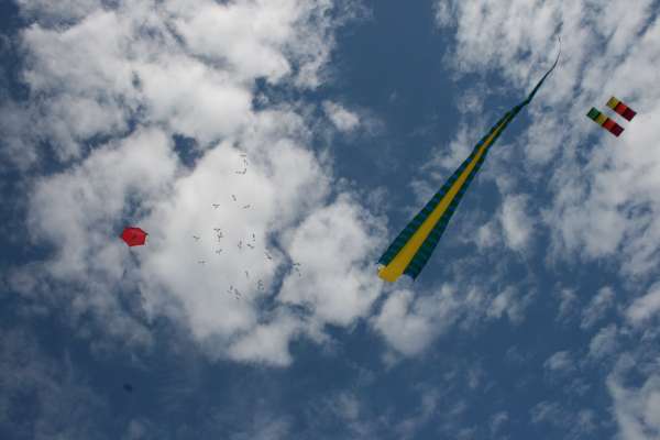 Img_5496.jpg
