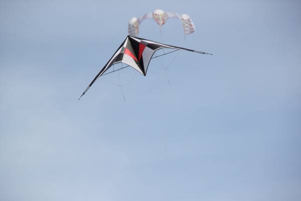 Img_0009.jpg