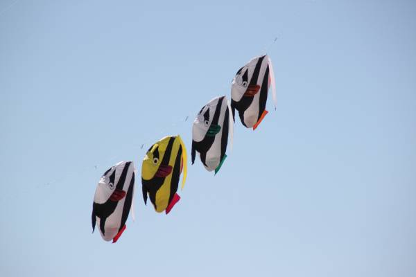 Img_0707.jpg