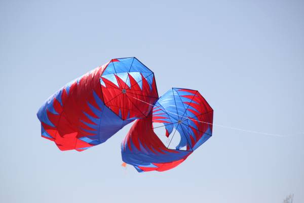 Img_0737.jpg