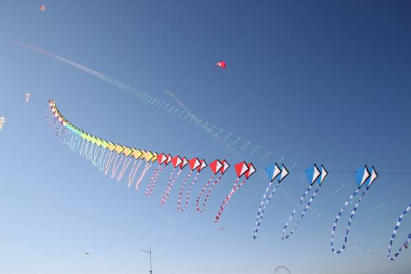 Img_1137.jpg