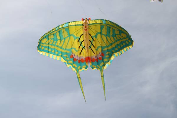 Img_9814.jpg
