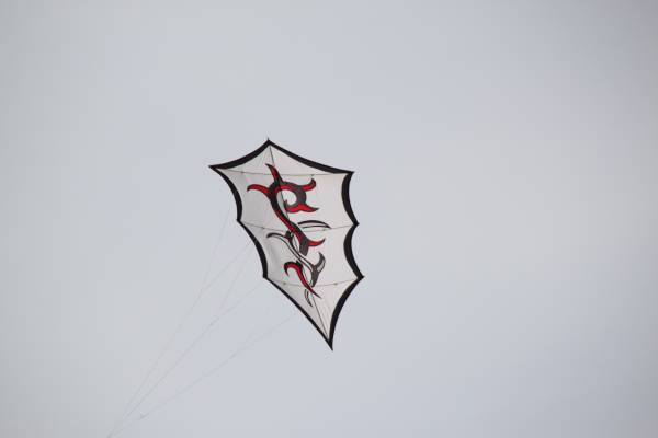 Img_9903.jpg