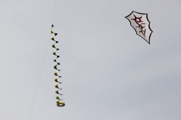 Img_9906.jpg