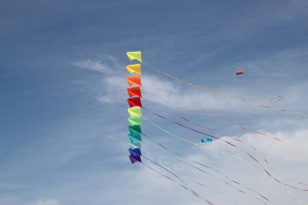 Img_9953.jpg