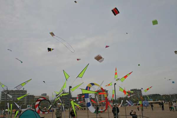 IMG_8894.jpg