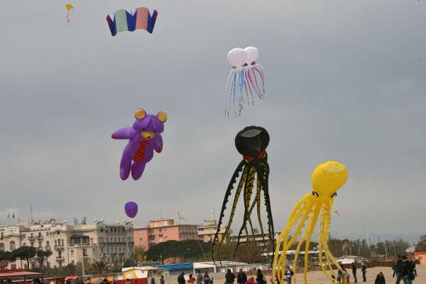 IMG_8915.jpg