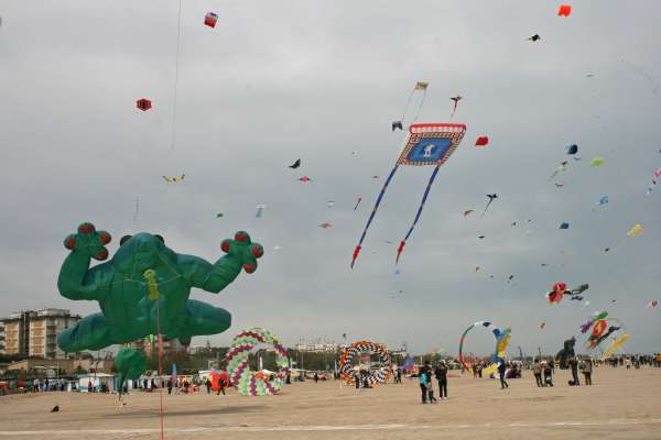 IMG_8925.jpg