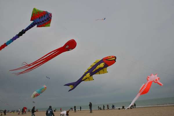 IMG_8926.jpg