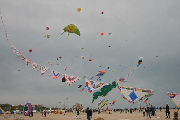 IMG_8929.jpg