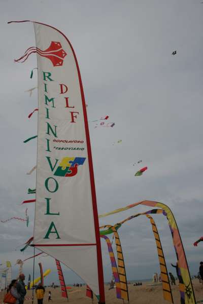 IMG_8955.jpg