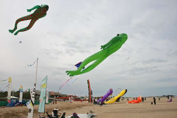 IMG_8963.jpg