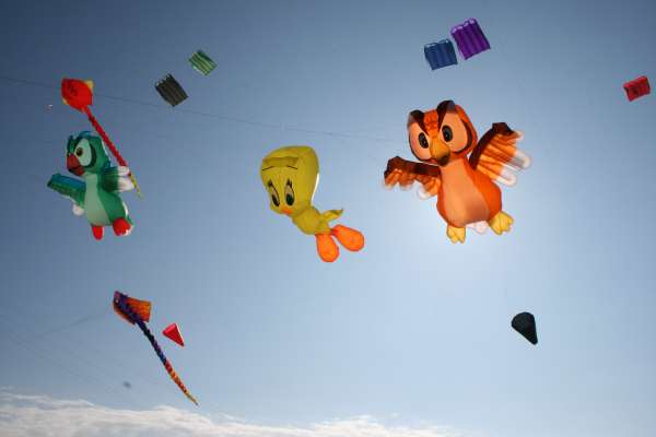Img_9040.jpg