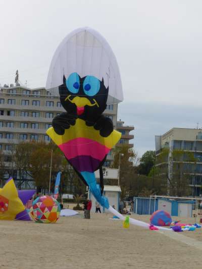 P1010059.jpg