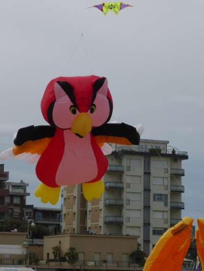 P1010061.jpg