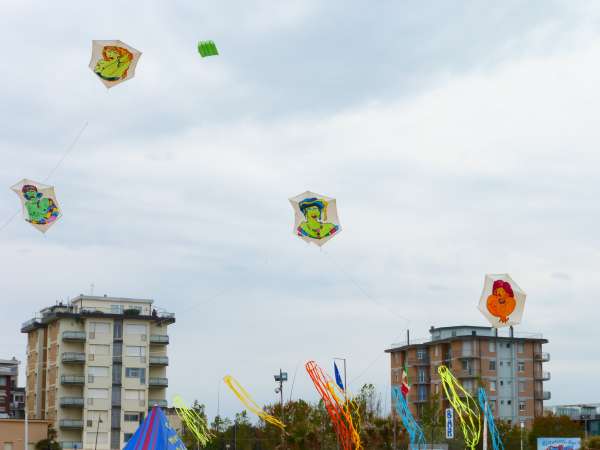 P1010077.jpg