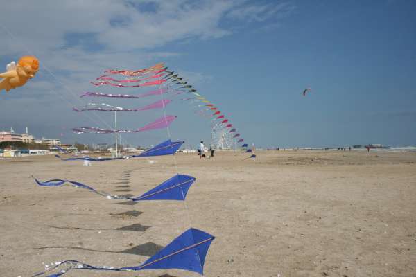 Img_0311.jpg