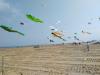 IMG_20160409_135555.jpg