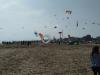 IMG_20160410_105341.jpg
