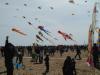 IMG_20160410_113159.jpg