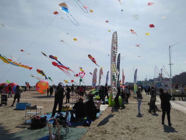 IMG_20160410_120850.jpg