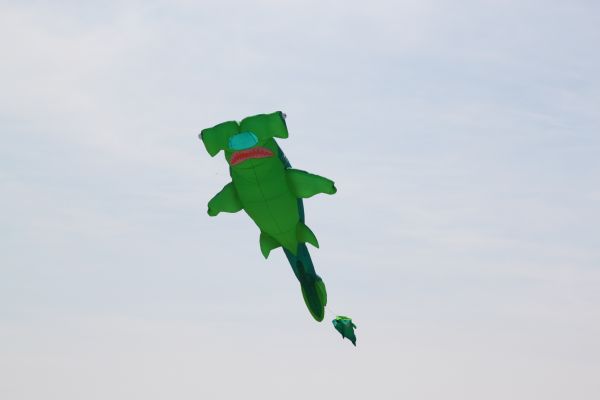 Img_2756.jpg