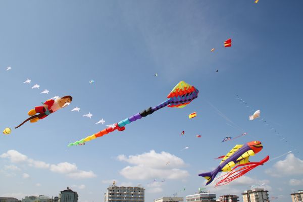 Img_2760.jpg