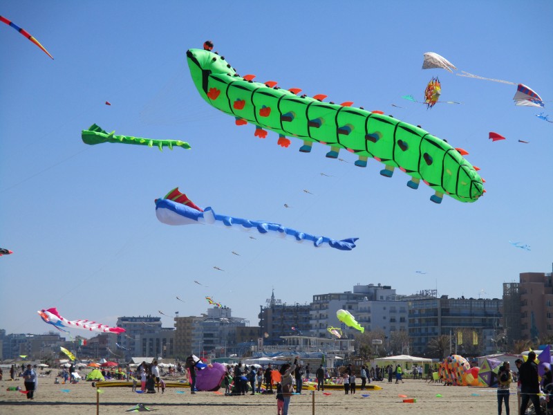 Img_0064.jpg