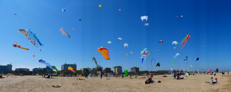 P1020918.jpg