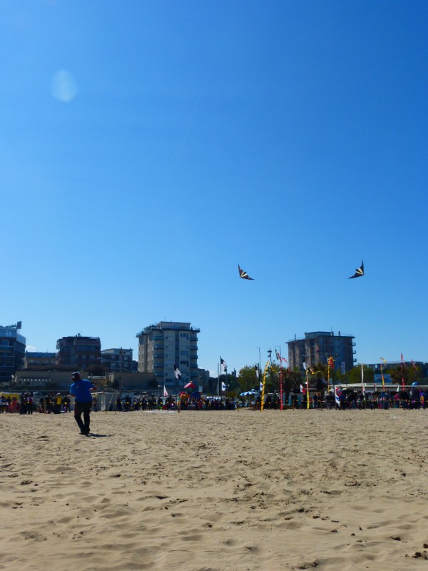 P1020949.jpg