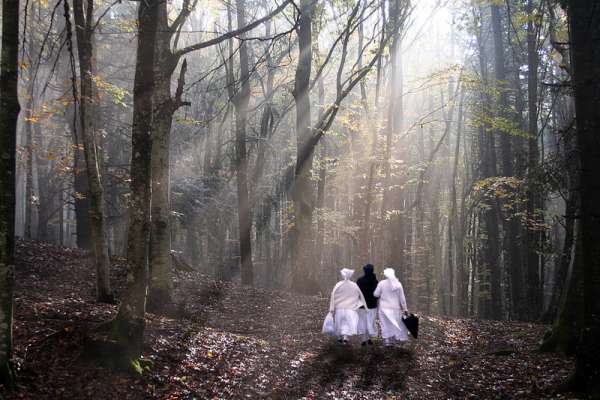 Foto vincitrice del primo premio.